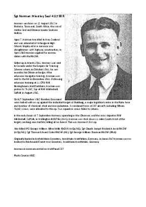 A preview of a PDF biography for Saul, Norman Priestley